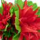 искусственные цветы букет кувшинок цвета красный 4