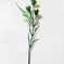 искусственные цветы ветка гвоздики(пластмассовая) цвета белый 6