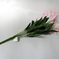 искусственные цветы лилии цвета белый с розовым 19