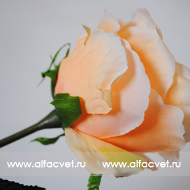 искусственные цветы роза цвета кремовый 24