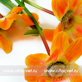 искусственные цветы ветка ромашек с осокой цвета оранжевый 2