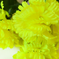 искусственные цветы фиалка-гвоздика цвета салатовый 39