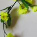 искусственные цветы гипсофила цвета салатовый 39