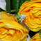 искусственные цветы камелии, лилии, герберы цвета белый с желтым 36
