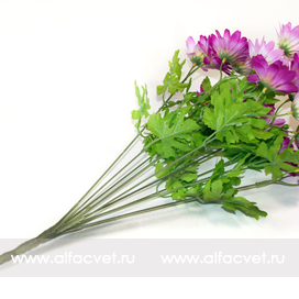 искусственные цветы касмея цвета фиолетовый с белым 15