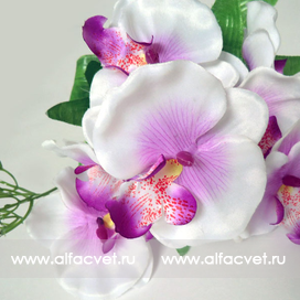 искусственные цветы букет орхидей с добавкой травка цвета белый 6