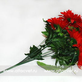 искусственные цветы ромашки с папоротником цвета красный 4