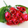 искусственные цветы розы цвета малиновый 11